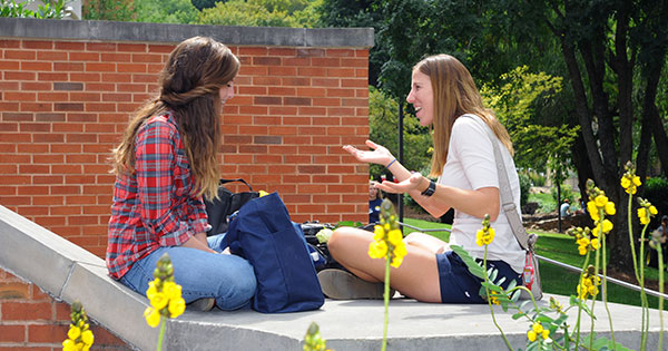 image for Dual Admissions